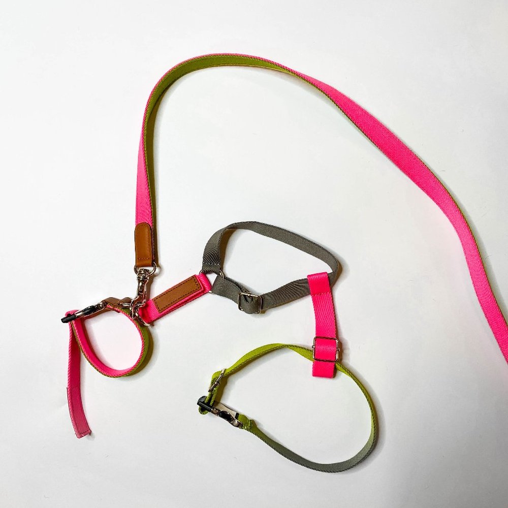 Zara Multi-Coloured Leash, Collar & Harness Bundle